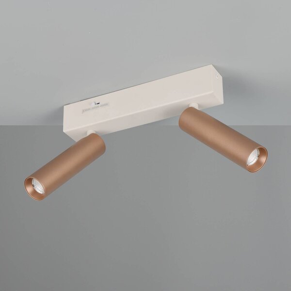 Trio Lighting Faretto da soffitto a LED Ambala, lunghezza 26 cm, grigio/marrone, 2 luci. dimmerabile, Alluminio / Grigio / Zincato, Soggiorno / Sala da pranzo, Metallo, Moderno