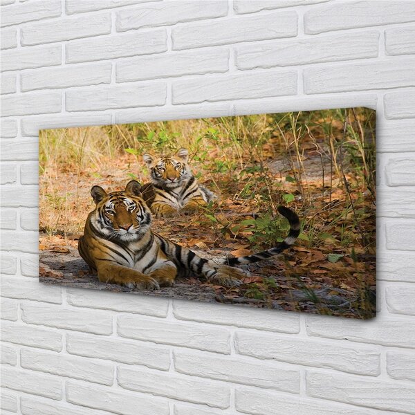 Quadro su tela Tigri 100x50 cm