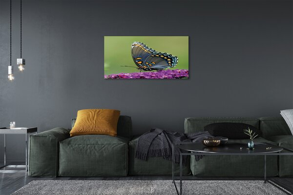 Quadro stampa su tela Farfalla colorata sui fiori 100x50 cm
