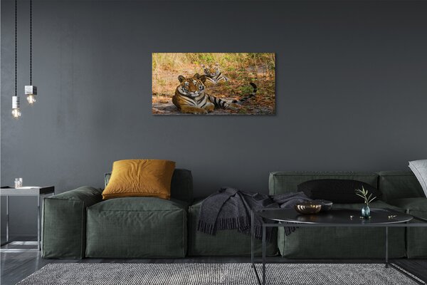 Quadro su tela Tigri 100x50 cm