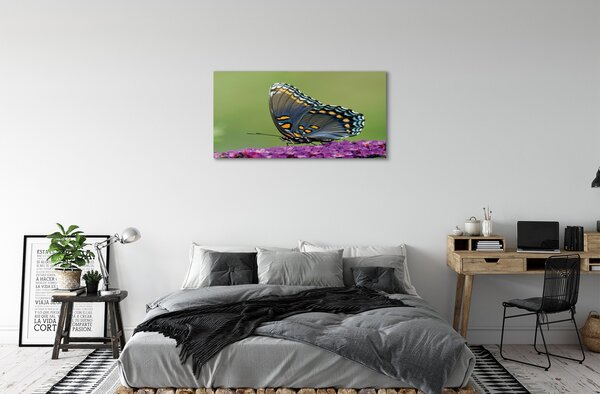Quadro stampa su tela Farfalla colorata sui fiori 100x50 cm