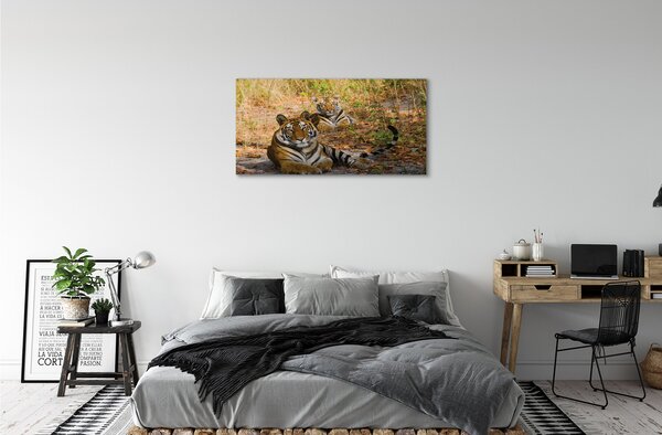 Quadro su tela Tigri 100x50 cm