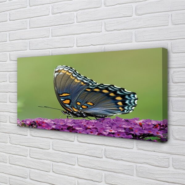 Quadro stampa su tela Farfalla colorata sui fiori 100x50 cm