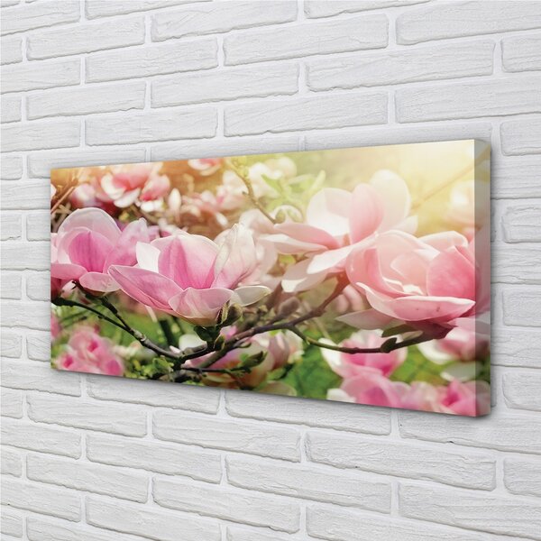 Stampa quadro su tela Fiori 100x50 cm
