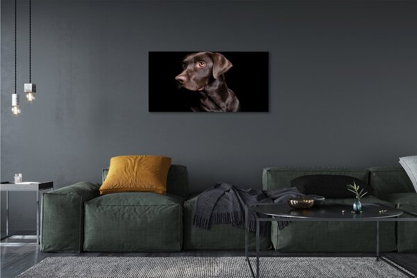 Stampa quadro su tela Cane marrone 100x50 cm