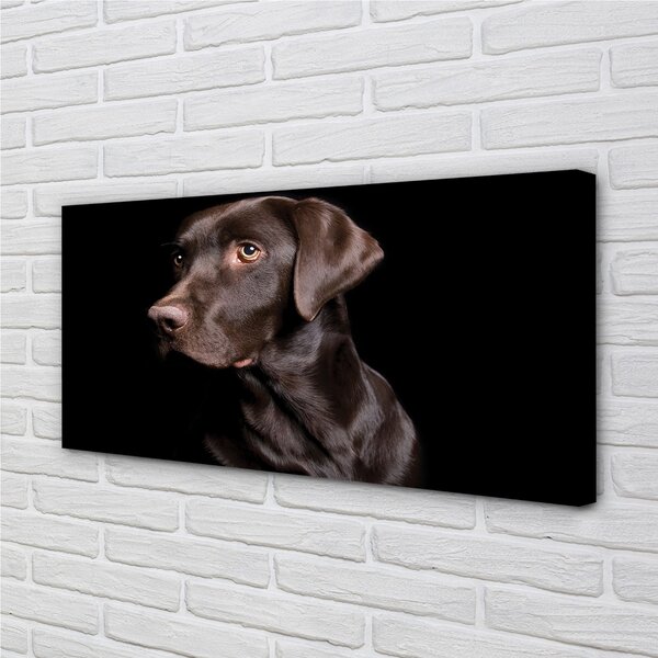 Stampa quadro su tela Cane marrone 100x50 cm