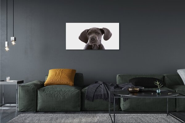Quadro su tela Cane marrone 100x50 cm