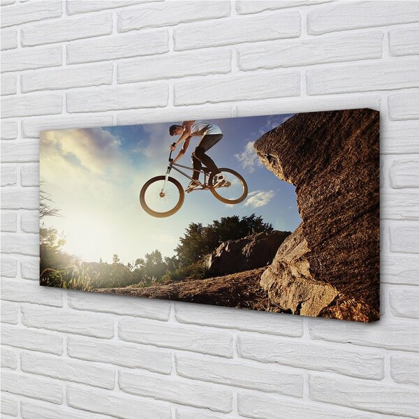 Quadro su tela Nuvole di mountain bike cielo 100x50 cm