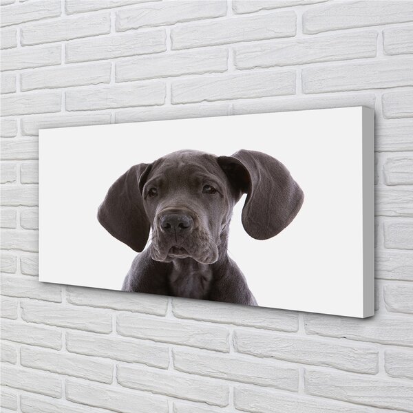 Quadro su tela Cane marrone 100x50 cm