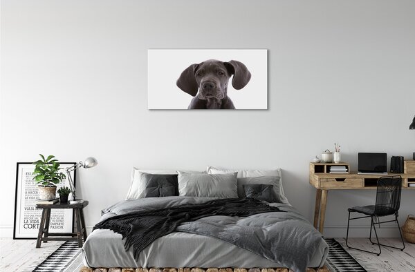 Quadro su tela Cane marrone 100x50 cm