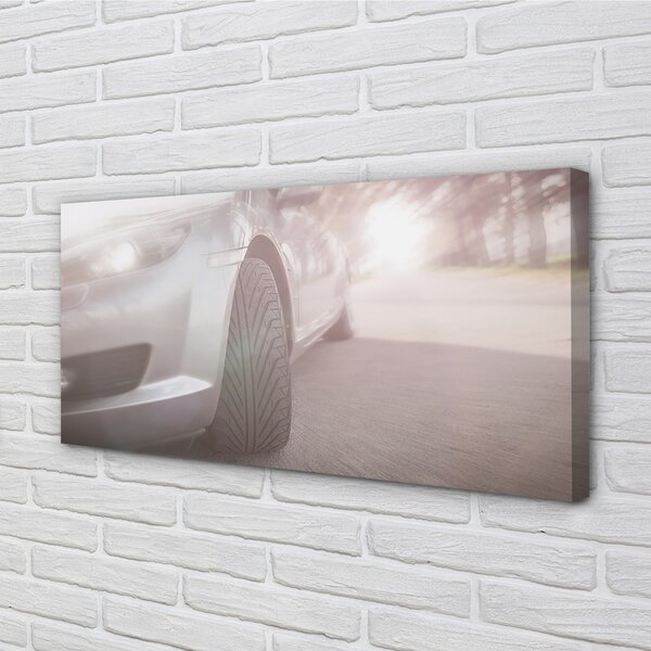 Quadro su tela Silver Auto Trees Street 100x50 cm