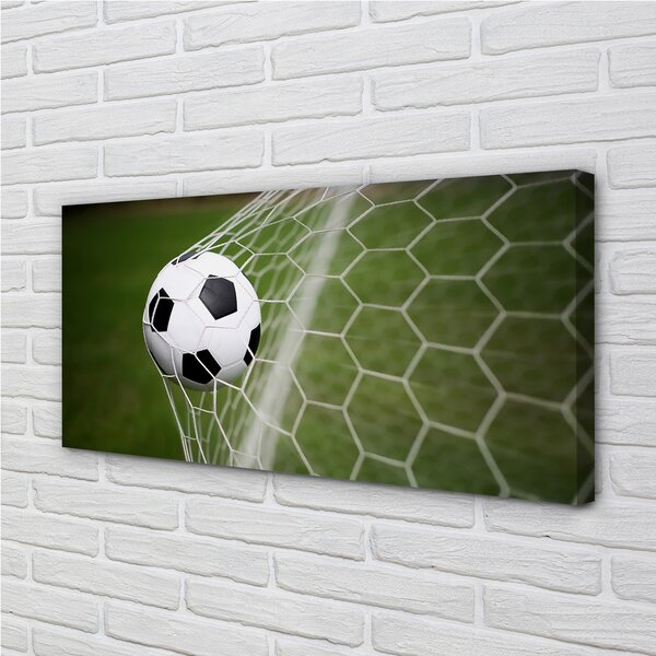 Quadro su tela Calcio 100x50 cm