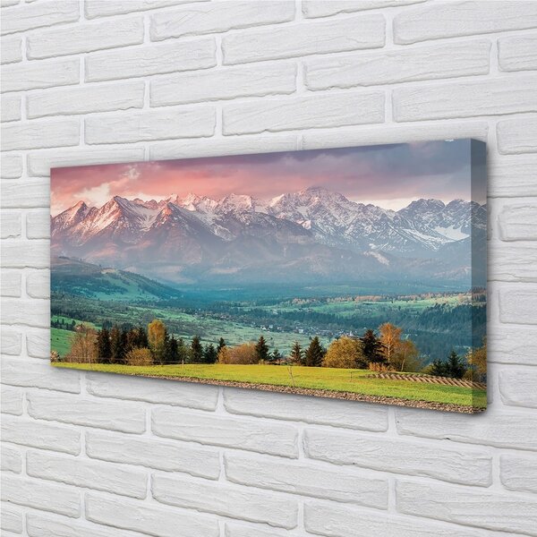 Quadro su tela Montagne di campo 100x50 cm