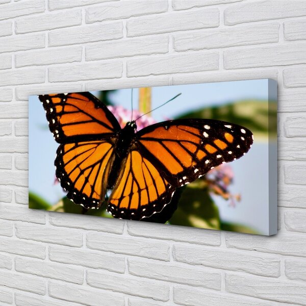 Quadro su tela Farfalla colorata 100x50 cm