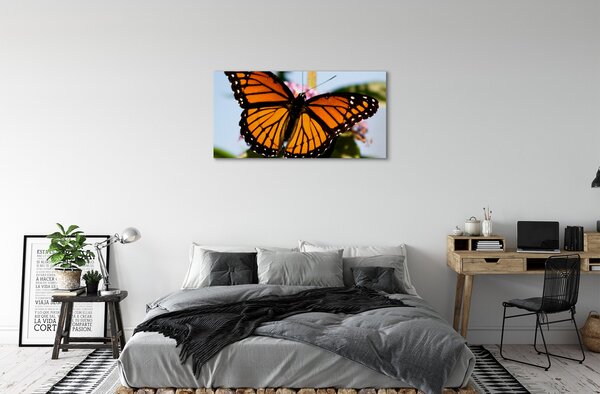 Quadro su tela Farfalla colorata 100x50 cm