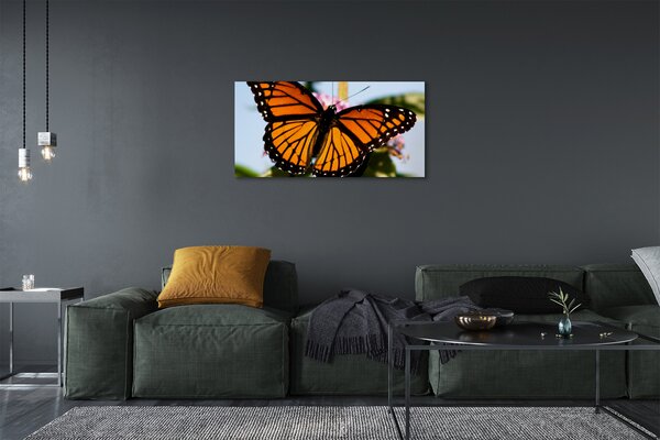 Quadro su tela Farfalla colorata 100x50 cm