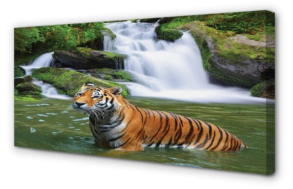Quadro stampa su tela Tigre a cascata 120x60 cm