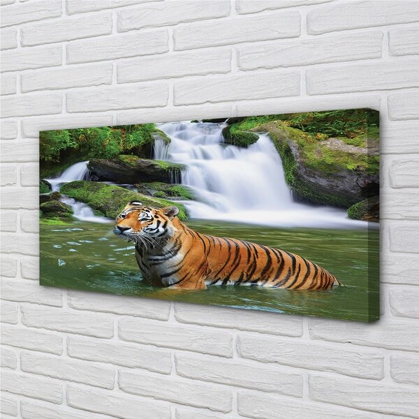 Quadro stampa su tela Tigre a cascata 100x50 cm