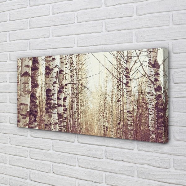 Quadro su tela Alberi 100x50 cm