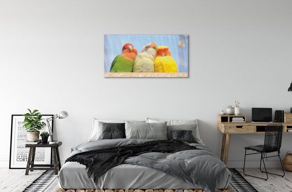 Quadro su tela Pappagalli colorati 100x50 cm