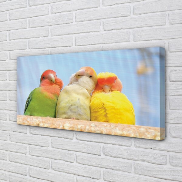 Quadro su tela Pappagalli colorati 100x50 cm