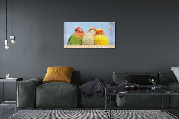 Quadro su tela Pappagalli colorati 100x50 cm