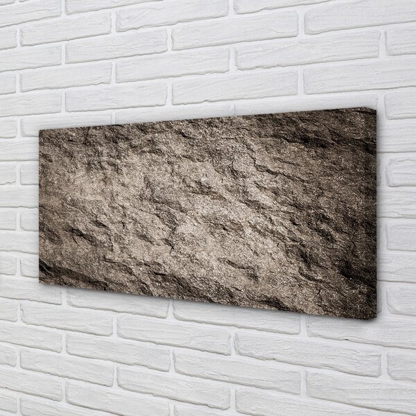 Quadro su tela Astrazione della struttura in pietra 100x50 cm