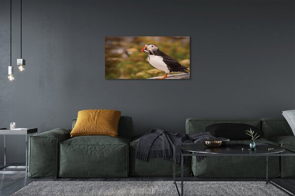 Quadro su tela Pappagallo 100x50 cm