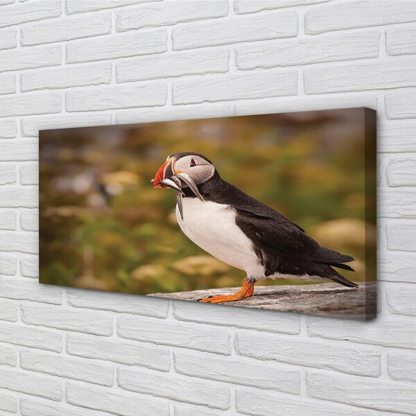 Quadro su tela Pappagallo 100x50 cm