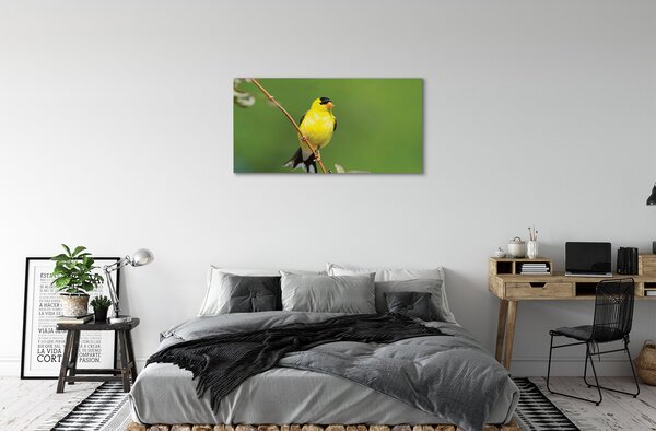 Quadro su tela Pappagallo giallo 100x50 cm