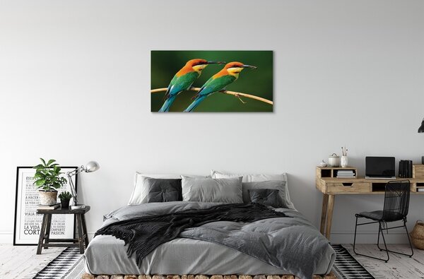 Quadro su tela Pappagalli colorati sui rami 100x50 cm