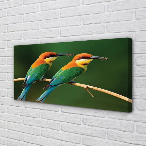 Quadro su tela Pappagalli colorati sui rami 100x50 cm