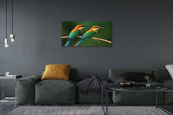 Quadro su tela Pappagalli colorati sui rami 100x50 cm