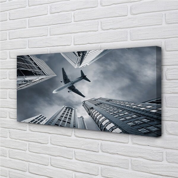 Quadro stampa su tela Cubbie Aircraft Heaven 100x50 cm