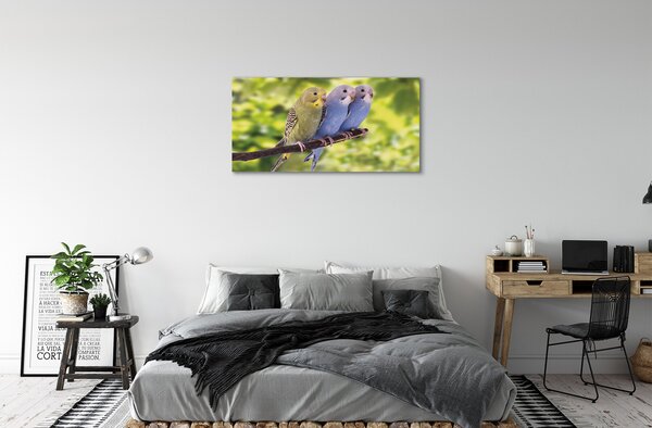Quadro su tela Pappagalli colorati sui rami 100x50 cm