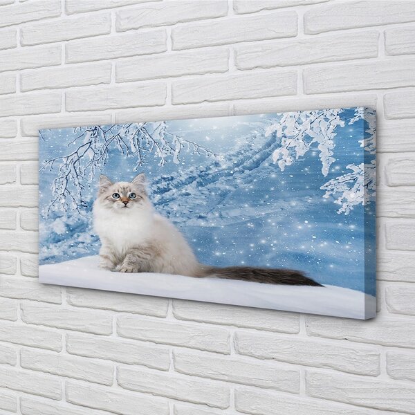 Quadro su tela Gatto in inverno 100x50 cm