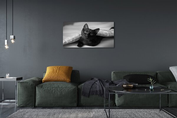 Quadro stampa su tela Gatto sotto le copertine 100x50 cm