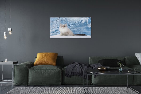 Quadro su tela Gatto in inverno 100x50 cm
