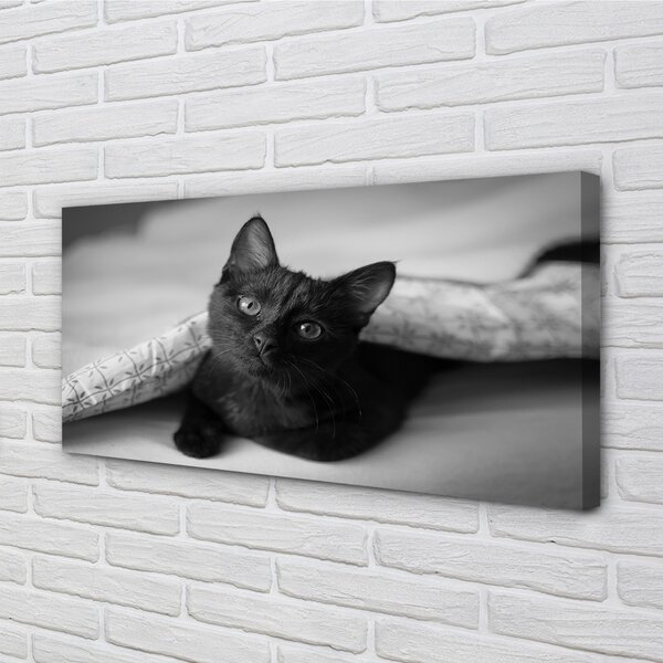 Quadro stampa su tela Gatto sotto le copertine 100x50 cm