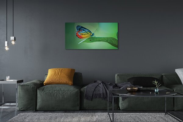 Quadro su tela Foglia di farfalla colorata 100x50 cm
