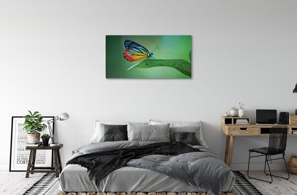 Quadro su tela Foglia di farfalla colorata 100x50 cm