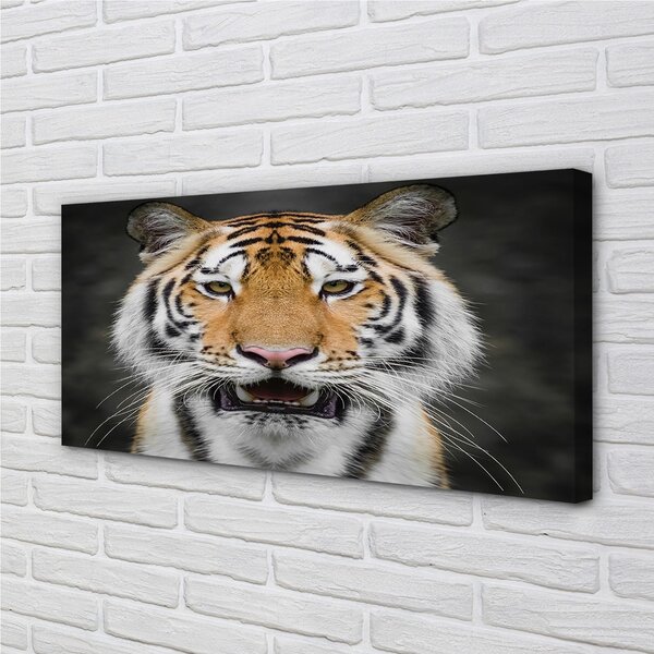 Quadro su tela Tigre 100x50 cm
