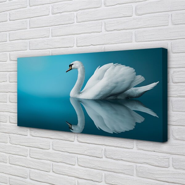 Stampa quadro su tela Cigno in acqua 100x50 cm