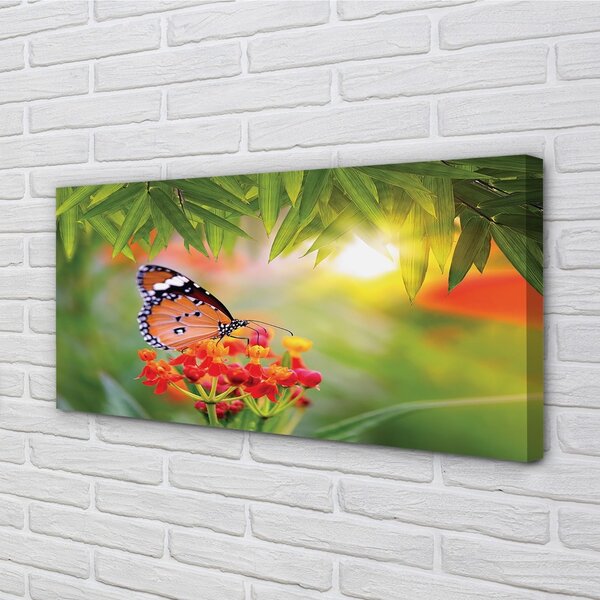 Quadro su tela Fiori di farfalla colorati 100x50 cm