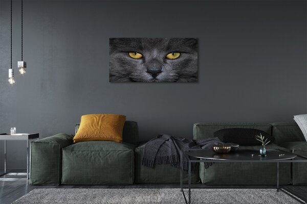 Quadro su tela Gatto nero 100x50 cm
