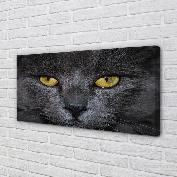 Quadro su tela Gatto nero 100x50 cm