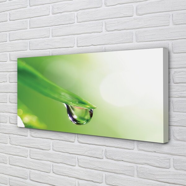 Quadro su tela Goccia della foglia del sole 100x50 cm