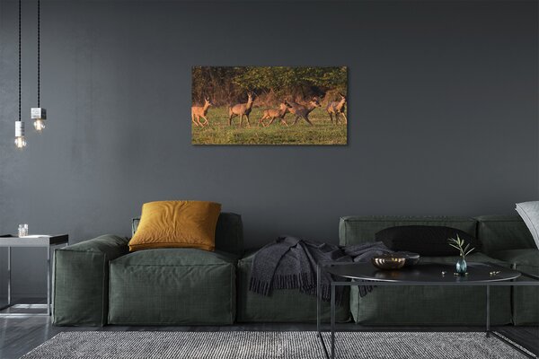 Quadro su tela Deer Sunrise Field 100x50 cm