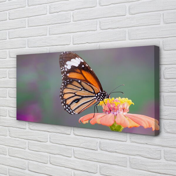 Quadro su tela Fiore di farfalla colorato 100x50 cm