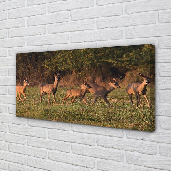 Quadro su tela Deer Sunrise Field 100x50 cm